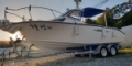 $featured_image_alt