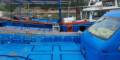 $featured_image_alt