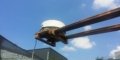 $featured_image_alt