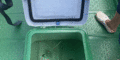 $featured_image_alt
