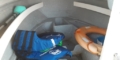$featured_image_alt