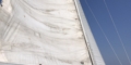 $featured_image_alt