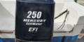 $featured_image_alt