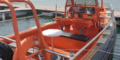 $featured_image_alt