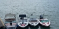 $featured_image_alt