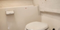 $featured_image_alt