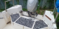 $featured_image_alt