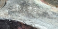 $featured_image_alt