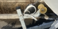$featured_image_alt