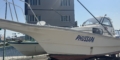 $featured_image_alt