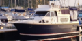 $featured_image_alt