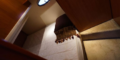 $featured_image_alt