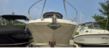 $featured_image_alt