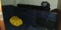 $featured_image_alt