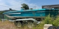 $featured_image_alt