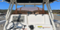 $featured_image_alt