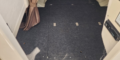 $featured_image_alt